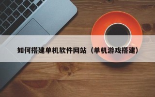 长沙如何搭建单机软件网站（单机游戏搭建）